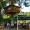 Hut on a tree - you really can stay there overnight - Oludeniz to Saklikent gorge tour