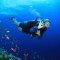 Scuba diving in Fethiye is great for all - novices and pro divers