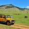 Almost wild nature, mountains and yellow Land Rover Defender - perfect picture - Land Rover Safari from Ovacik