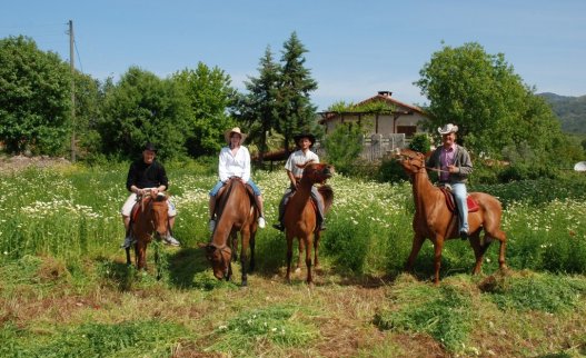 Horse Riding