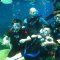 Wow, the underwater world is amazing - Oludeniz Scuba Diving