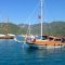 Boats are approaching Gocek Turkey - Gocek Market Boat Trip