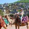 Camel trekking in ghost town - Caml Riding in Turkey