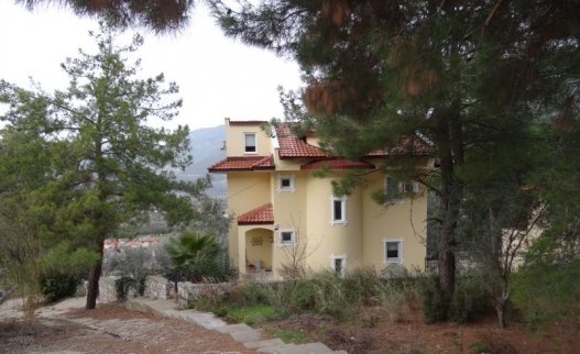 <p>Uzumlu is a quaint Ottoman village with character and basic amenities for shopping, bars and resturants. It is a family style location and not for night-clubbers with its greatest asset being located in a glorious ring of mountains. Santi villa in Uzumlu is suitable for 12 people.<br />
<br />
 </p>
