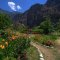 Butterfly Valley Oludeniz in bloom