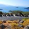 Descending to Gemiler Bay - Quad Biking Safari in Fethiye