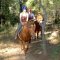 Horse riding tour through the pine forests towards Kayakoy - horseback riding Fethiye