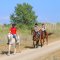 Small groups horseback riding from Desperado ranch Fethiye in Yaniklar