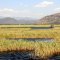 Riding the boat along Dalyan River towards Iztuzu Beach - Dalyan Resort