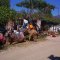 We are getting prepared for camel ride in Kayakoy - Turkey Camel Rides