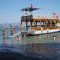 Angel boat - Private Boat Hire Fethiye