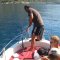 The fishing is possible straight from the speed boat near Oludeniz