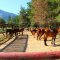 Our horses are relaxing in their stables waiting for guests to come - horse riding near Oludeniz