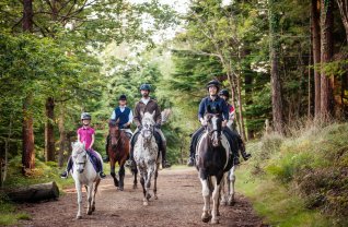 Horseback Riding