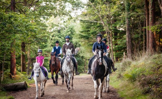 Horseback Riding