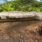 Survived remains of Cadianda Fethiye ancient city