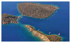 Zeytin (Olive) Island